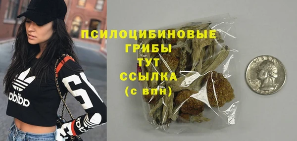 твердый Армянск
