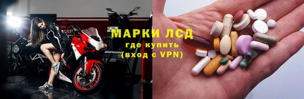 прущие крисы Аркадак