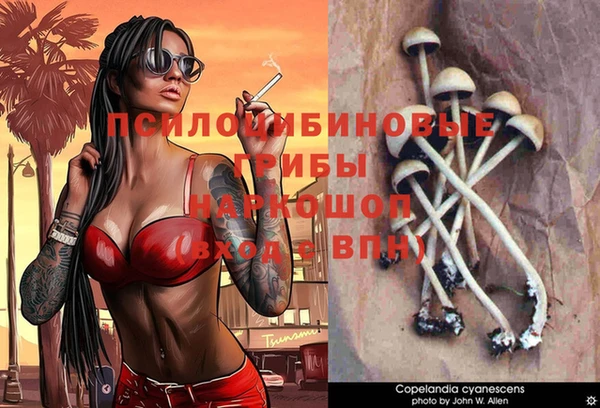 твердый Армянск
